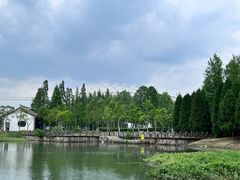 -尚贤河湿地