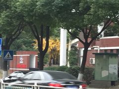 -省锡中多功能游泳馆