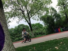 -艾溪湖湿地公园