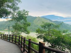 -羚羊峡古栈道森林公园