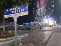 -琴岛之星摩天轮