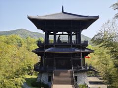 -大唐贡茶院