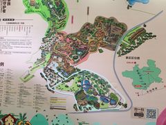-海南槟榔谷黎苗文化旅游区