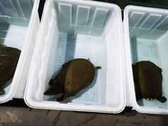 -渔人湾码头海鲜市场负二楼