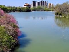 -禹州森林植物园
