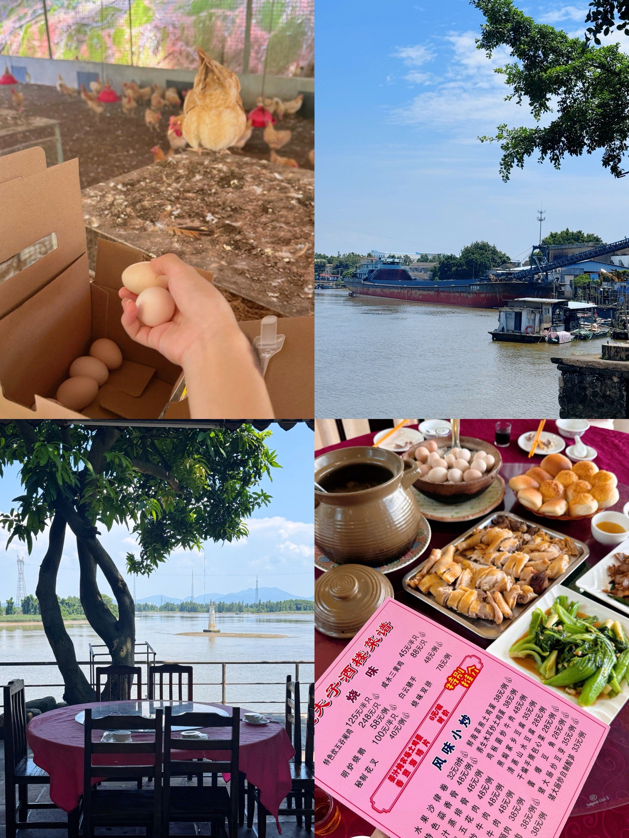 在新会罗坑!自家农场做出来的农家菜真的不错91