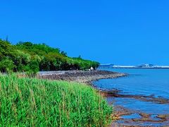 -上海吴淞炮台湾国家湿地公园