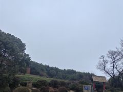 -苏州太湖国家湿地公园