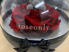 -ROSEONLY诺誓(国际广场购物中心店)