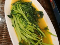 -广信传说