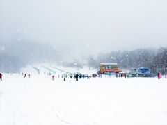 -亚布力新体委滑雪场