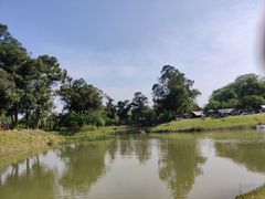 -两河城市森林公园