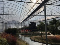 -无锡动物园·太湖欢乐园