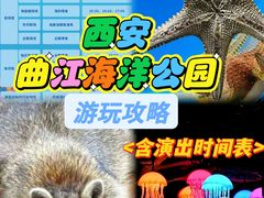 -西安曲江海洋极地公园