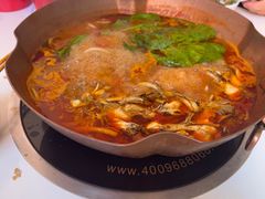 -毛辣果·贵州红酸汤牛肉火锅(西单店)