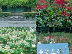 -中华恐龙园