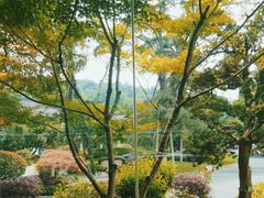 -浙江西子宾馆·瑶园咖啡厅