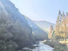 -莫干山风景区