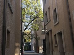 -徐家汇源景区-衡山坊