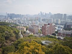 -福道