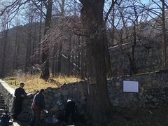 -阳台山自然风景区