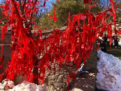 -泰山风景名胜区