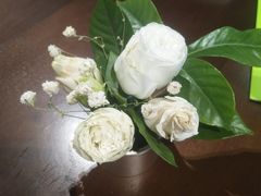 -小罐茶(济南恒隆广场店)