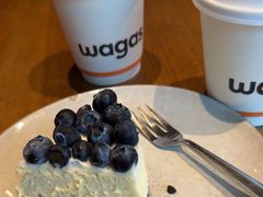 -Wagas沃歌斯(正大乐城店)