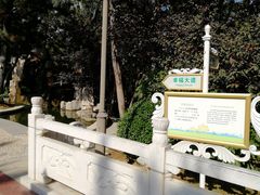 -林海公园