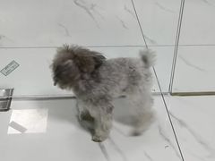 -嘉馨宠物医院·CT影像转诊·心脏科·犬猫全科诊疗中心(下沙大学城院区)