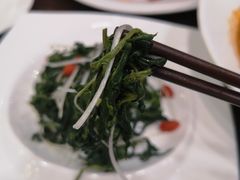 养生枸杞苗-中发源·清真餐厅(春风店)