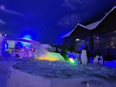 -世界之窗阿尔卑斯冰雪世界