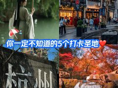 -猫的天空之城概念书店(杭州南宋御街店)