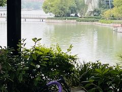 -Beans Solo豆号咖啡(百家湖花园店)