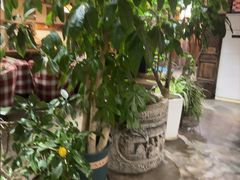 -慢丽江·云南野生菌土鸡锅(付家庄店)