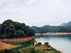 -广州市流溪河国家森林公园