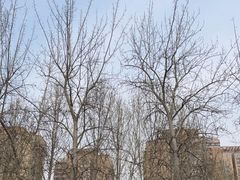 -丰台科技园生态主题公园