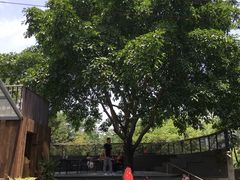 -悦哉·派对·草坪婚礼·围炉煮茶(三圣乡店)
