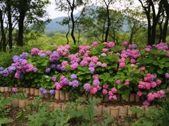 -西湖风景区-江洋畈生态公园