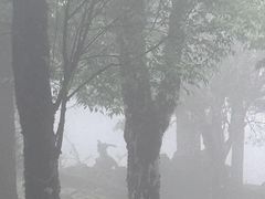 -苍山感通索道