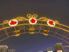 -武汉知音号