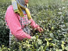 -南京金牛湖风景区