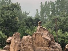 -西安秦岭野生动物园