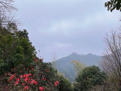 -莫干山风景区