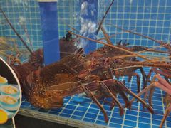 -天鲜阁·海鲜粤菜·33年老字号(石槎白云站店)