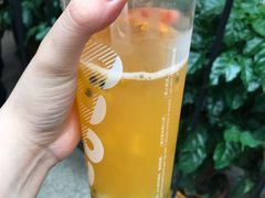鲜百香双响炮-CoCo都可(东城国贸店)