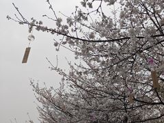 -堤角公园