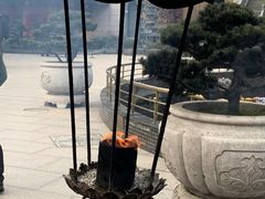 -上海东林寺(金山区)
