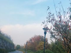 -羊山湖公园