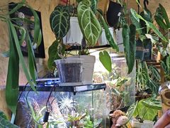 -Rabbit Cafe私房西餐甜点咖啡(栖霞路店)